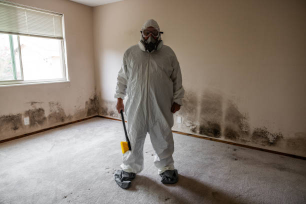 Mold Testing and Removal in Glendale, AZ